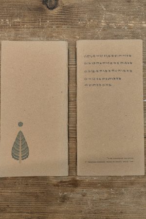 دفتر سرو تخت جمشید